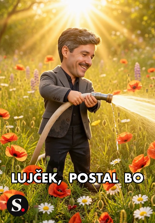 Ilustracija/meme iz Repićevega videa, uporabljena ob popevki o "Martinovem lulčku".
